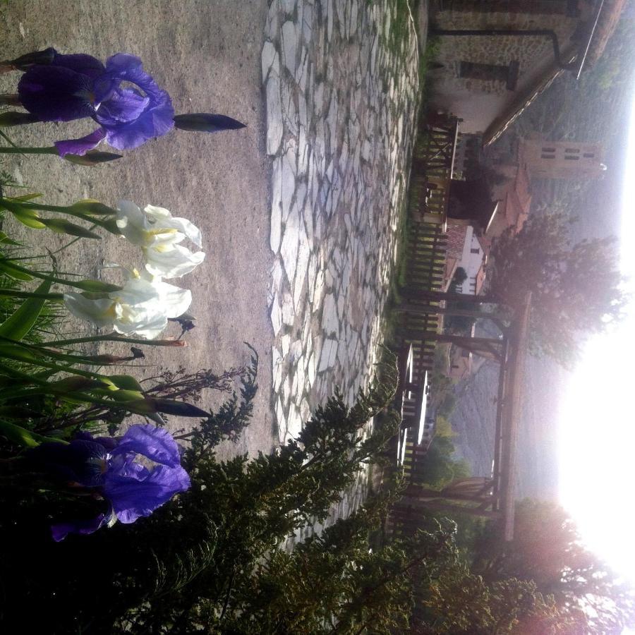 Apartament Casa Elpatiodelmaestrazgo Villarroya de los Pinares Zewnętrze zdjęcie